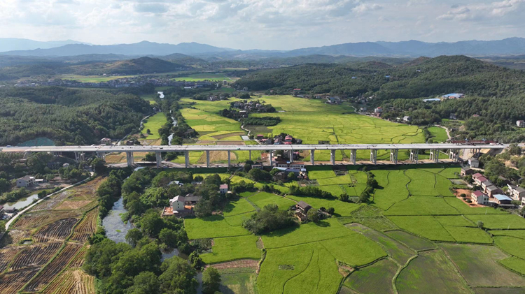 20221017847855.jpg 20221017_092934_010.jpg