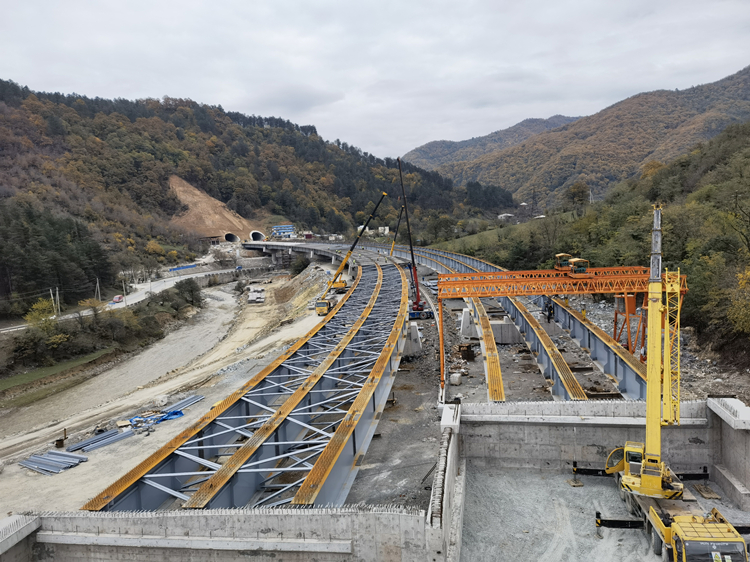 20221114268087.jpg 全橋整體.jpg